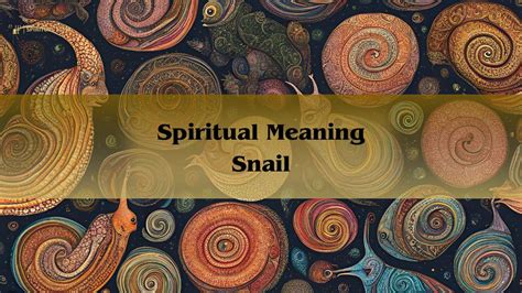 spiritual meaning of a snail|snail native american culture.